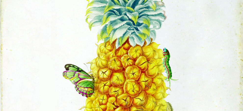 Encyclopedia Britannica